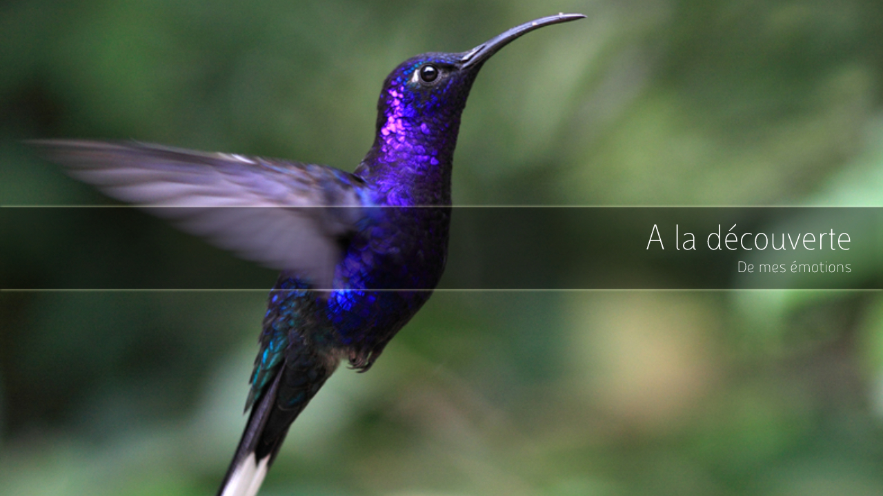 You are currently viewing A la découverte de mes émotions…